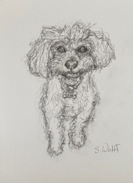 Custom 6x8 framed original scribbles 12