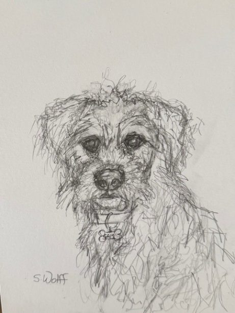 Custom 6x8 framed original scribbles 13