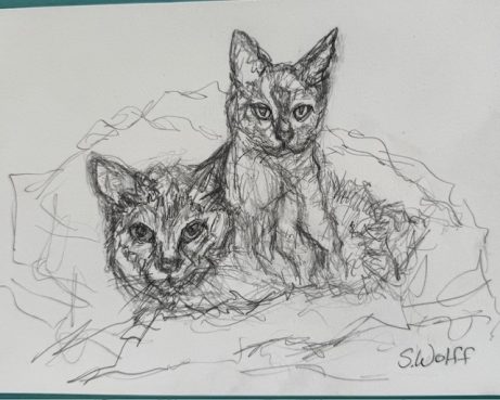 Custom 6x8 framed original scribbles 17