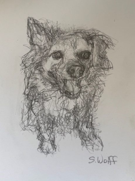 Custom 6x8 framed original scribbles 18