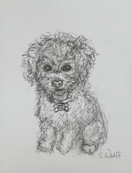 Custom 6x8 framed original scribbles 20