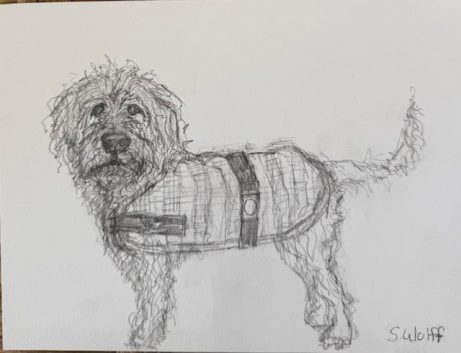 Custom 6x8 framed original scribbles 4