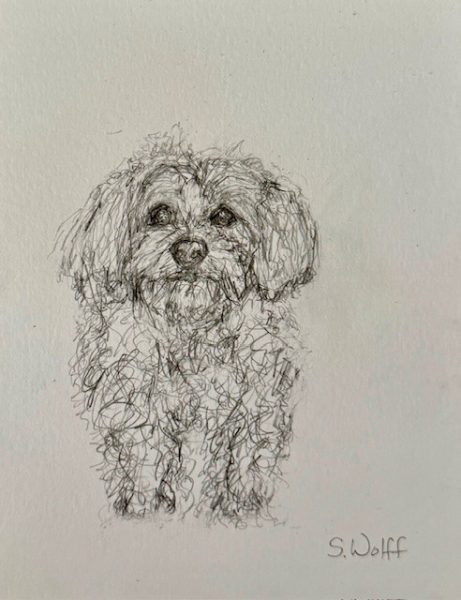 Custom 6×8 framed original scribbles 23