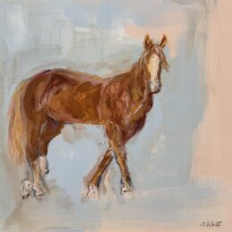 She Knows